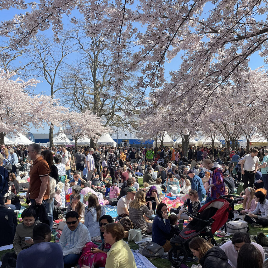 Copenhagen Sakura Festival